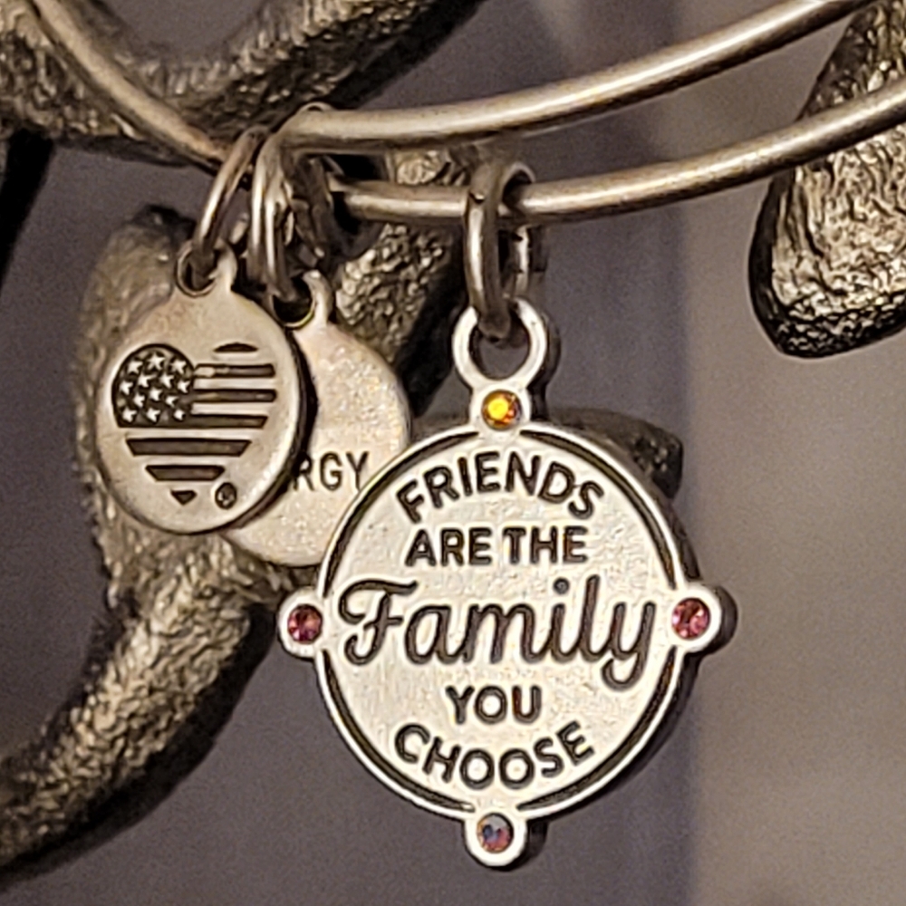Alex & Ani Friends Are The Family You Choose Charm Bangle Bracelet Silver-tone - Picture 9 of 16